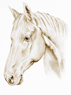 initialsketchofhorsepainting